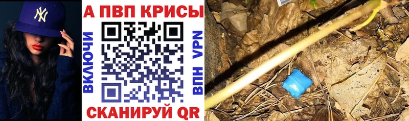 A PVP СК КРИС Назарово