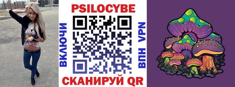 закладки  Назарово  Галлюциногенные грибы прущие грибы 